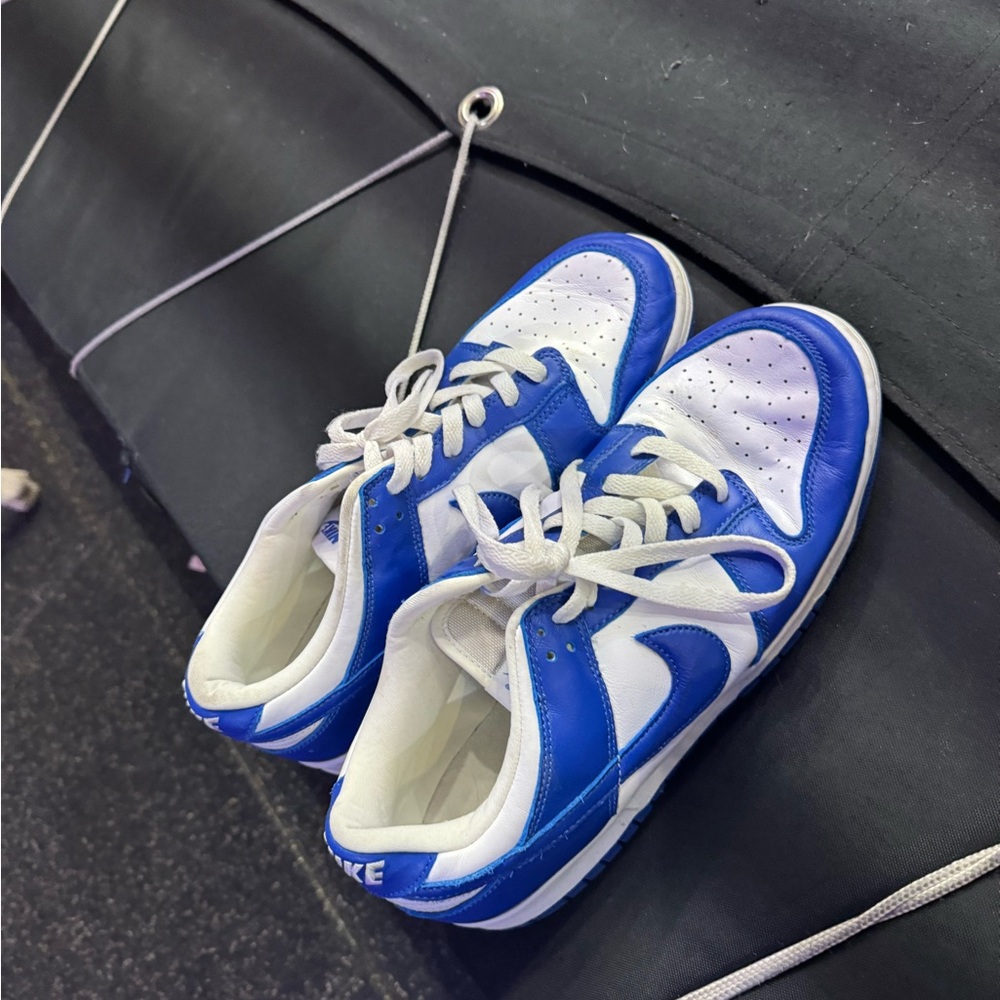 Nike dunks 
Worn but in good condition